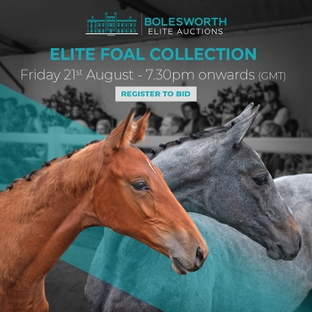BOLESWORTH ELITE FOAL COLLECTION 2020 REVEALED BOLESWORTH ELITE FOAL COLLECTION 2020 REVEALED